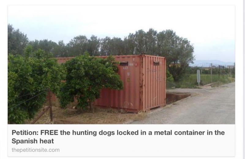 hunting dogs locked in a metal container