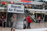 Boycott Air France