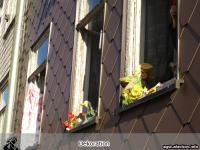 Ilmenau: Besetzung beendet 6