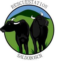 Rescuestation Saldobosch