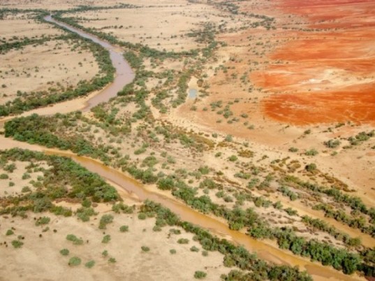 The Diamantina River in Channel-Country