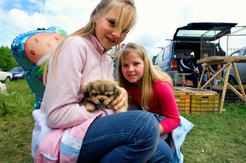 Kinder mit Schoßhund: Zu süß sind die kleinen Vierbeiner, zu groß ist das Mitleid mit den Kreaturen