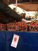Erdbeerstand mit Aufkleber gegen blutige Erdbeeren