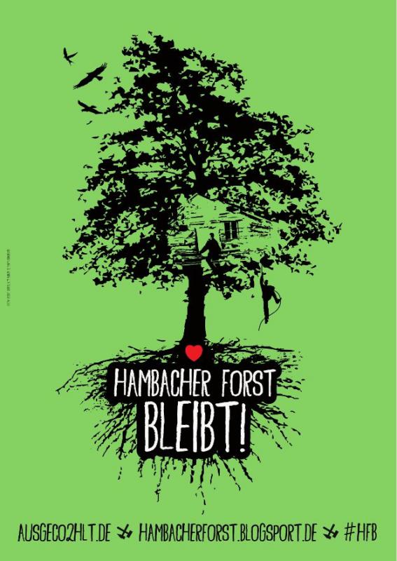 Hambacher Forst, Räumung, Solidarität