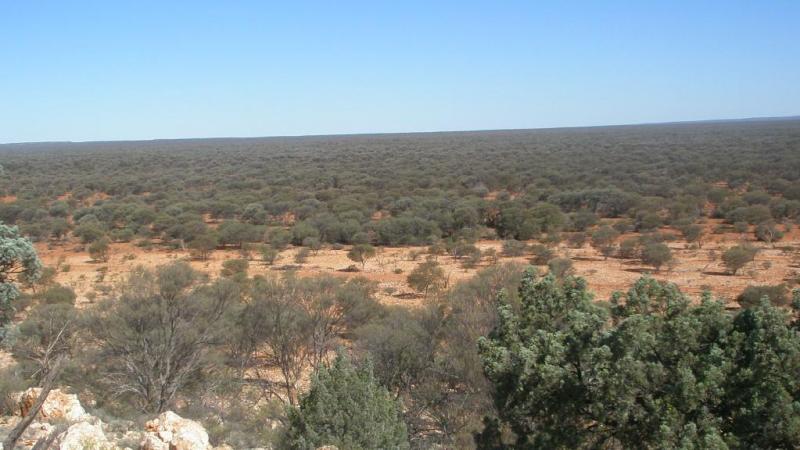 The site of the proposed Yeelirrie uranium mine in Western Australia.